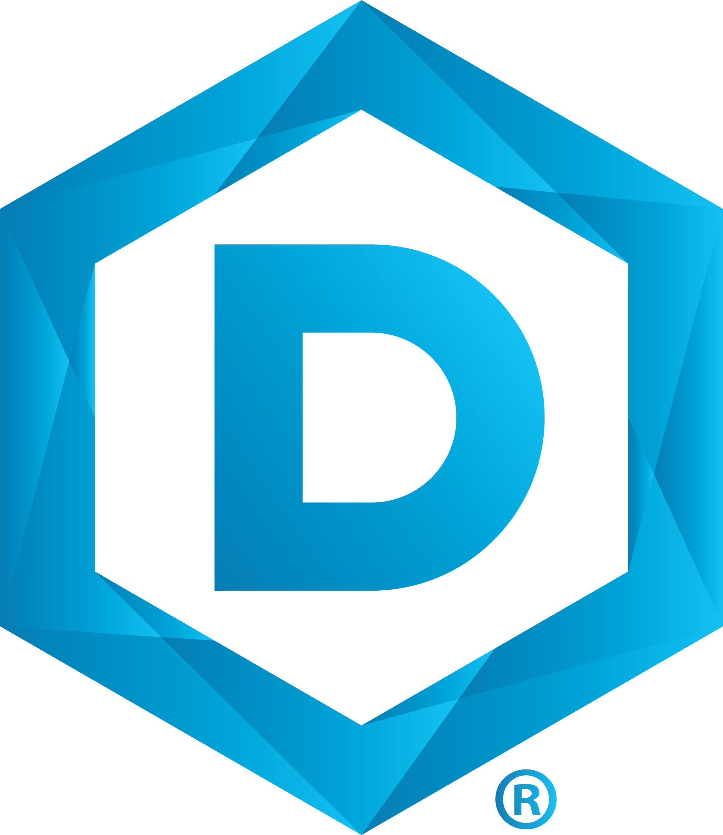 DSU Logo